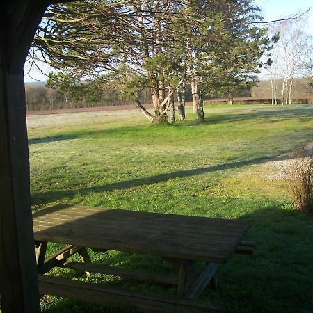 Gite En Forterre Druyes-les-Belles-Fontaines Exteriör bild